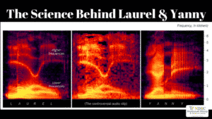 The science behind Laurel & Yanny
